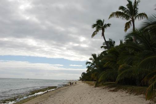 Palmenstrand im Südwesetn von Mauritius